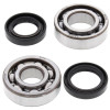 All Balls Racing 76-81 Yamaha YZ100 Crank Shaft Bearing Kit - 24-1073 Photo - Primary