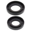 All Balls Racing 84-87 Kawasaki KXT250 Tecate Crank Shaft Seal Only Kit - 24-2030 Photo - Primary