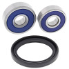 All Balls Racing 80-82 Kawasaki KDX175 Wheel Bearing Kit Front - 25-1184 Photo - Primary