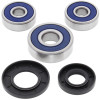 All Balls Racing 69-79 Honda CT90 Trail Wheel Bearing Kit Rear - 25-1304 Photo - Primary