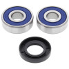 All Balls Racing Hyosung GT250 Wheel Bearing Kit Front - 25-1309 Photo - Primary