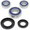 All Balls Racing 91-97 Suzuki GSX250 (Euro) Wheel Bearing Kit - Rear - 25-1344 Photo - Primary