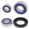 All Balls Racing 1988 Suzuki GSX600F Katana Wheel Bearing Kit Rear - 25-1551 Photo - Primary