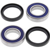 All Balls Racing Eton IXL-40 Rascal Wheel Bearing Kit Rear - 25-1579 Photo - Primary