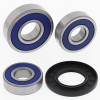 All Balls Racing 75-76 Suzuki RE5 ROTARY Wheel Bearing Kit Rear - 25-1610 Photo - Primary