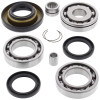 All Balls Racing 95-01 Honda TRX400FW Fourtrax Foreman 4x4 Differential Bearing & Seal Kit Rear - 25-2013 Photo - Primary