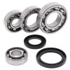 All Balls Racing 1985 Kawasaki KLT160 Differential Bearing & Seal Kit Rear - 25-2017 Photo - Primary