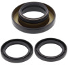 All Balls Racing 02-03 Honda TRX400FW Fourtrax Foreman 4x4 Differential Seal Only Kit Rear - 25-2061-5 Photo - Primary