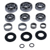 All Balls Racing 94-95 Polaris 300 2x4 Transmission Rebuild Kit - 25-7003 Photo - Primary