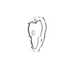 KC HiLiTES FLEX ERA 3 Replacement SAE Lens Only - Clear - 4257 User 2