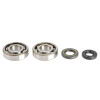 Athena 94-01 Kawasaki KX 250 Main Bearing & Seal Kit - P400250444256 Photo - Primary