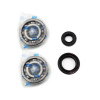 Athena 99-00 Yamaha YZ 250 2T Main Bearing & Seal Kit - P400485444271 Photo - Primary