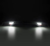 AlphaRex 15-23 Dodge Charger Nova-Series LED Tail Lights - Black - 642012 User 3