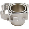 Cylinder Works 2012 RZR 570 Standard Bore Cylinder Kit - 60005-K01 Photo - Close Up
