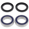 All Balls Racing Wheel Bearing Kit - 25-1321 Photo - Primary