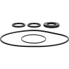All Balls Racing Differential Seal Kit - 25-2152-5 Photo - Primary