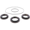 All Balls Racing Differential Seal Kit - 25-2153-5 Photo - Primary