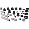 All Balls Racing Rear Ind. Suspension Kit - 50-1043 Photo - Primary