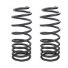 ARB OME Prado 250 Coil Spring - Rear - 3338 Photo - Primary