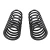 ARB OME Prado 250 Coil Spring - Rear - 3338 Photo - Close Up