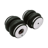 Air Lift 89-00 Lexus LS400 Coil to Air Upgrade Kit - 83016 User 1