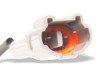 Raxiom 18-20 Ford F-150 LED Halo Surround Headlights with White DRL- Black Housing- Clear Lens - T583569 Photo - Close Up