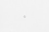 Wilwood nut 10-32 hex jam clear zinc - 230-12455 Photo - Primary
