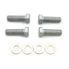 Wilwood bolt kit caliper MT M12-1.25X40MM LG 4 pack - 230-17510 Photo - Primary