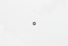 Wilwood nut 1/4-28 self-lock hex steel low height nas 1291-C4M - 230-9618 Photo - Primary