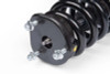 Zone Offroad 12-18 Ram 1500 2in Loaded Strut - Single Strut (780061J) - ZOND4201 Photo - Close Up