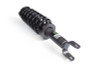 Zone Offroad 12-18 Ram 1500 2in Loaded Strut - Single Strut (780061J) - ZOND4201 Photo - Close Up