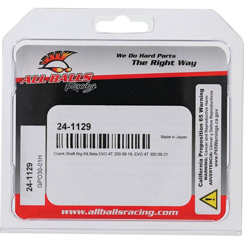 All Balls Racing Crank Bearing Kit - 24-1129 Photo - Close Up