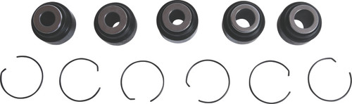 All Balls Racing Rear Ind. Suspension Kit - 50-1248 Photo - Close Up