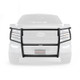 Go Rhino 18-20 Ford F-150 3100 Series StepGuard Center Grille + Brush Guard - Tex. Blk - 3296MT Photo - Mounted