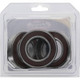 Pivot Works Pw Premium Wheel Bearing - 25-1034-P Photo - Primary
