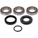 Pivot Works Pw Premium Wheel Bearing - 25-1034-P Photo - Primary