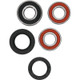 Pivot Works Pw Premium Wheel Bearing - 25-1117-P Photo - Primary