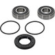 Pivot Works Pw Premium Wheel Bearing - 25-1129-P Photo - Primary