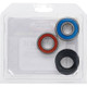 Pivot Works Pw Premium Wheel Bearing - 25-1160-P Photo - Primary