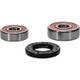 Pivot Works Pw Premium Wheel Bearing - 25-1191-P Photo - Primary
