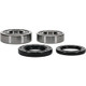 Pivot Works Pw Premium Wheel Bearing - 25-1252-P Photo - Primary