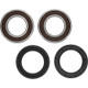 Pivot Works Pw Premium Wheel Bearing - 25-1299-P Photo - Primary
