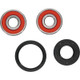 Pivot Works Pw Premium Wheel Bearing - 25-1312-P Photo - Primary