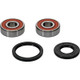 Pivot Works Pw Premium Wheel Bearing - 25-1312-P Photo - Primary