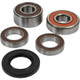 Pivot Works Pw Premium Wheel Bearing - 25-1383-P Photo - Primary
