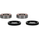 Pivot Works Pw Premium Wheel Bearing - 25-1404-P Photo - Primary