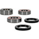 Pivot Works Pw Premium Wheel Bearing - 25-1420-P Photo - Primary
