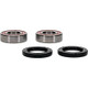 Pivot Works Pw Premium Wheel Bearing - 25-1562-P Photo - Primary