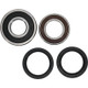 Pivot Works Pw Premium Wheel Bearing - 25-1689-P Photo - Primary
