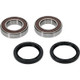 Pivot Works Honda Wheel Bearing Kit Premium Bearings - 25-1032-P Photo - Primary